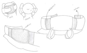 Biomimética - Como a Natureza Já Resolveu os Seus Problemas 4