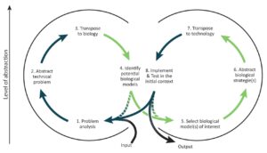 Biomimética - Como a Natureza Já Resolveu os Seus Problemas 3