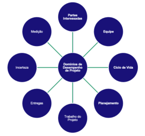 domínios de desempenho do projeto