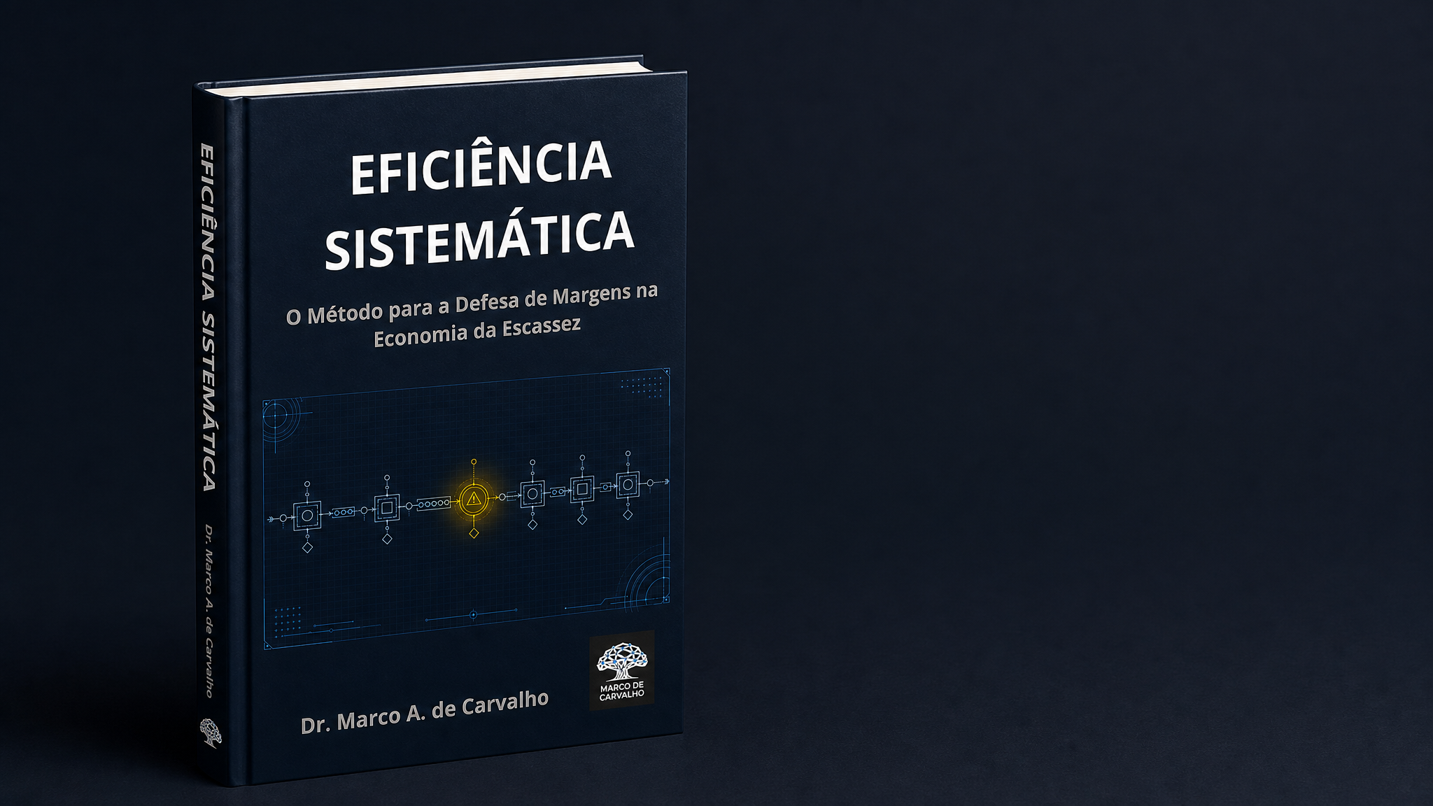 Eficiência Sistemática — Dr. Marco A. de Carvalho